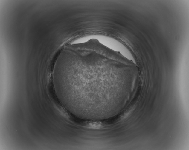 X0000084030355200703092015