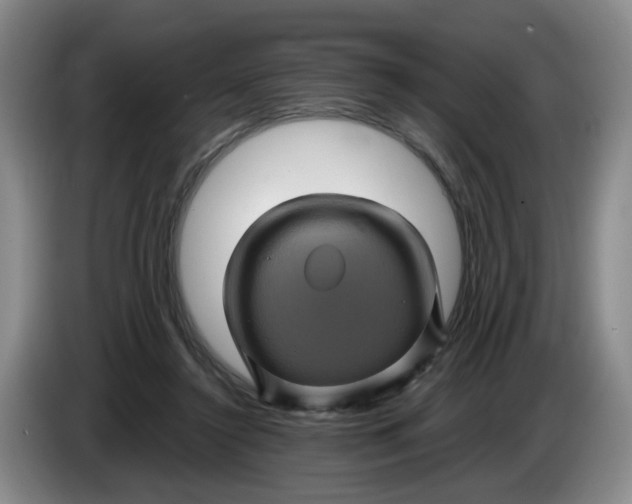 X0000084030356200703092015