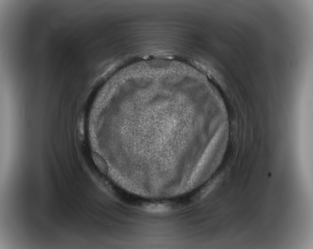 X0000084030358200703092015