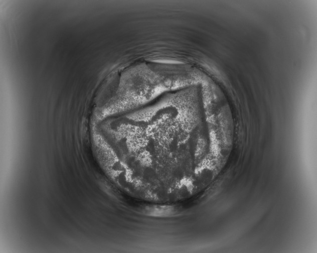 X0000084030361200703092015