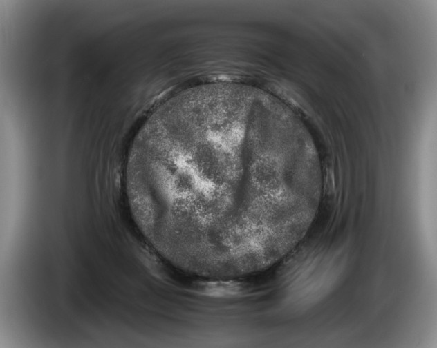 X0000084030363200703092015