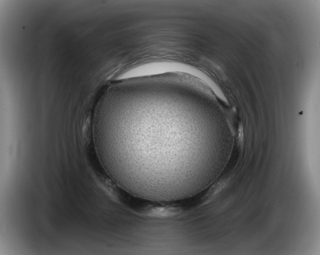 X0000084030364200703092015