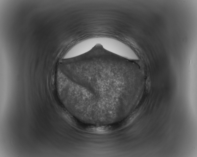 X0000084030365200703092015