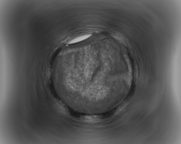 X0000084030367200703092015