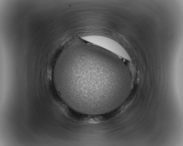 X0000084030368200703092015