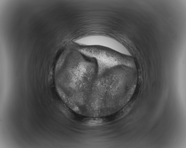 X0000084030369200703092015