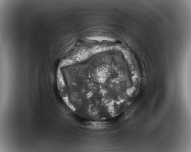 X0000084030371200703092015