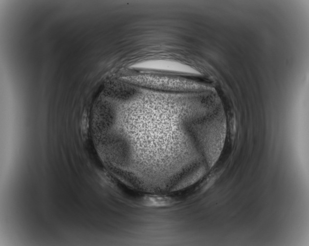 X0000084030372200703092015