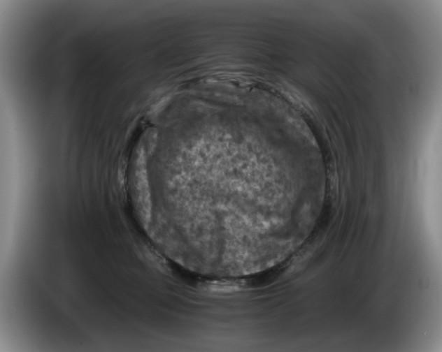 X0000084030373200703092015