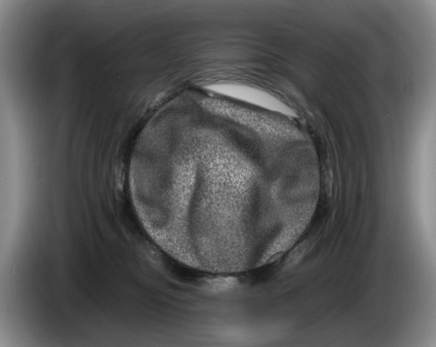 X0000084030374200703092015