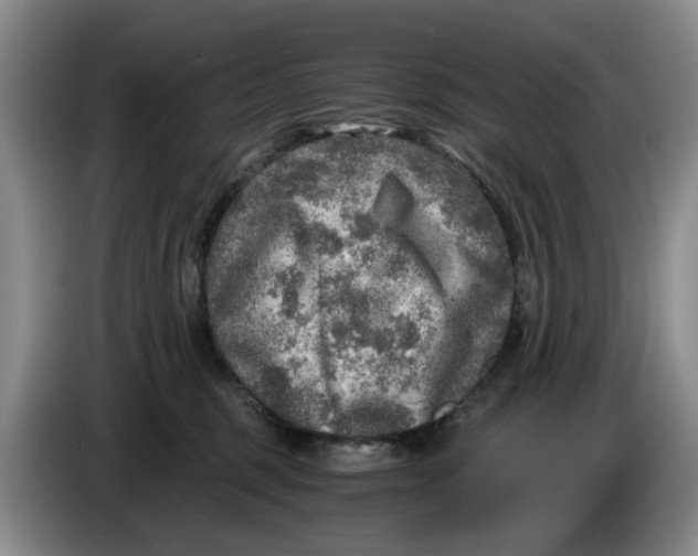 X0000084030375200703092015