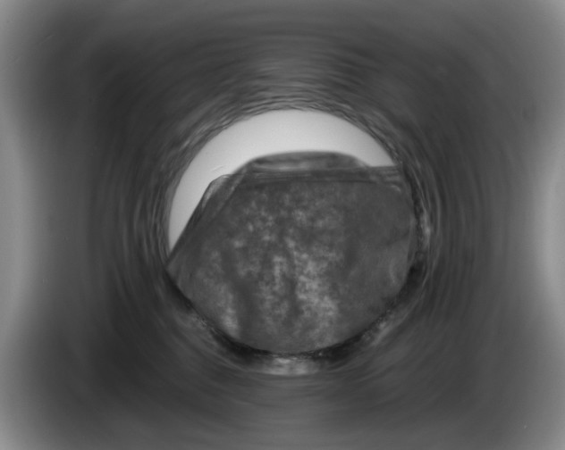 X0000084030376200703092015