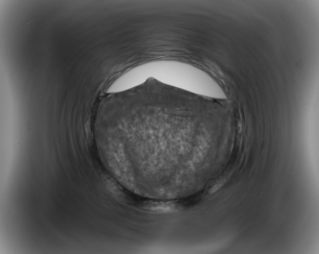 X0000084030377200703092015