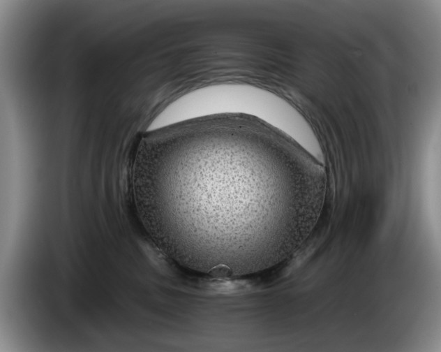 X0000084030379200703092015