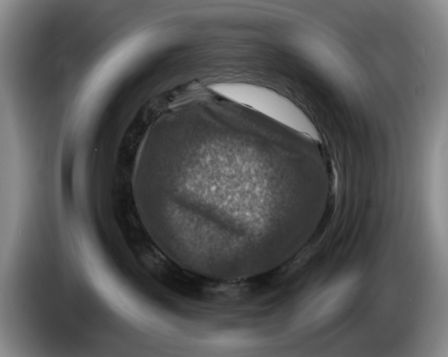 X0000084030383200703092015