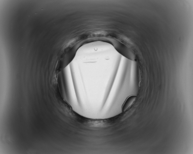 X0000084030384200703092015