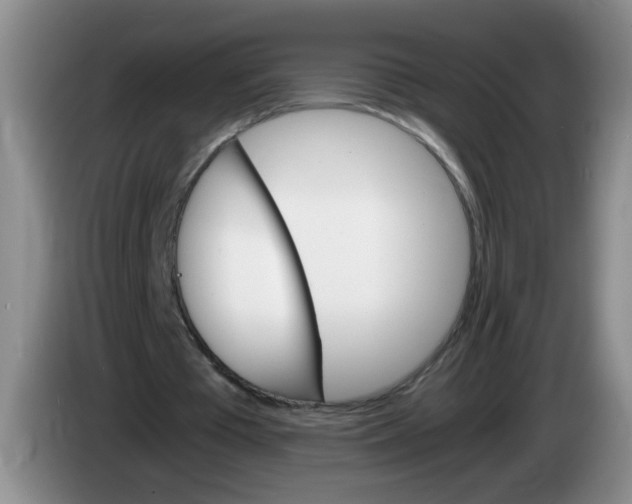 X0000084030385200703092015