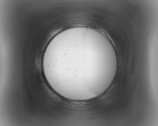 X0000084030386200703092015