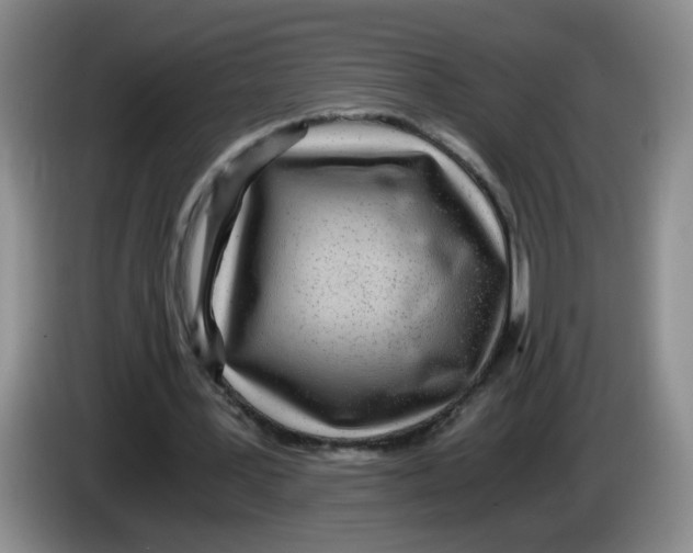 X0000084030387200703092015