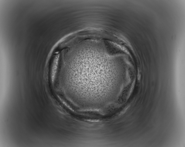 X0000084030388200703092015