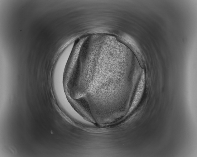 X0000084030389200703092014