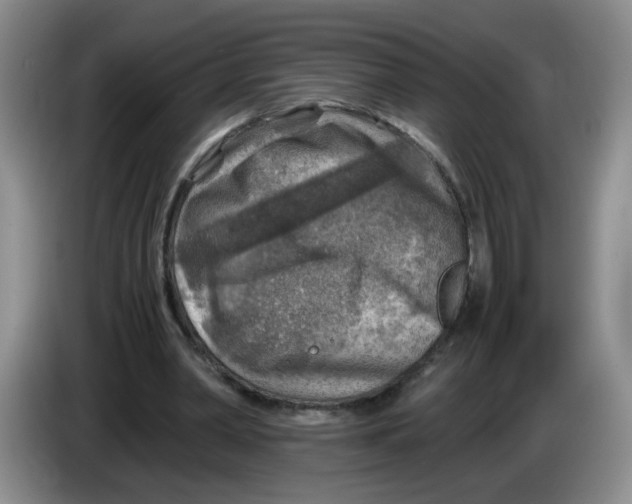 X0000084030390200703092014