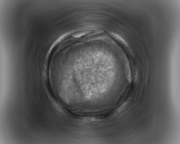 X0000084030392200703092014