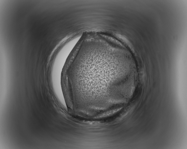 X0000084030395200703092014