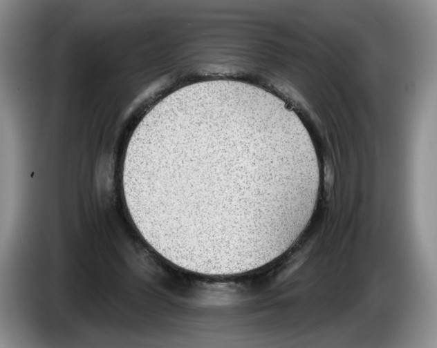 X0000084030396200703092014