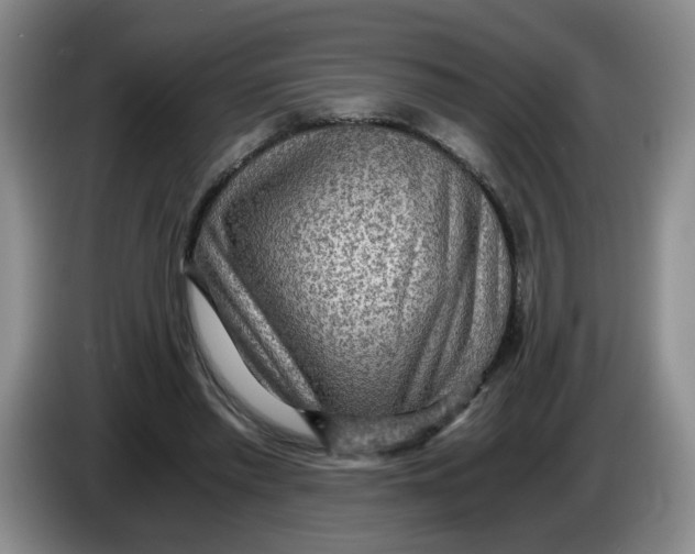 X0000084030397200703092014