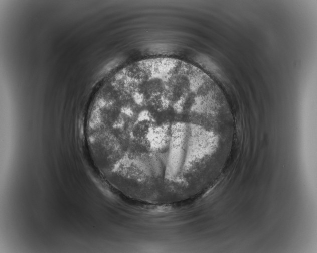 X0000084030398200703092014