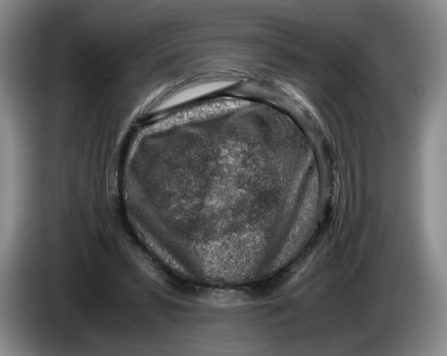 X0000084030399200703092014