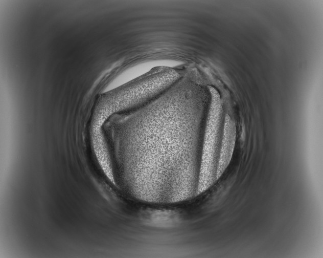 X0000084030400200703092014