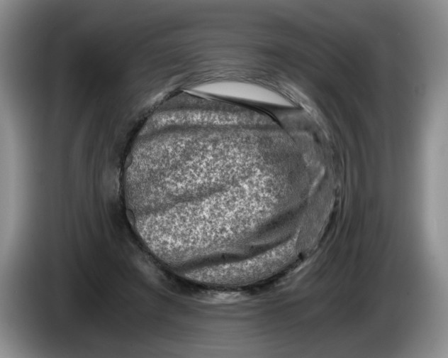 X0000084030401200703092014