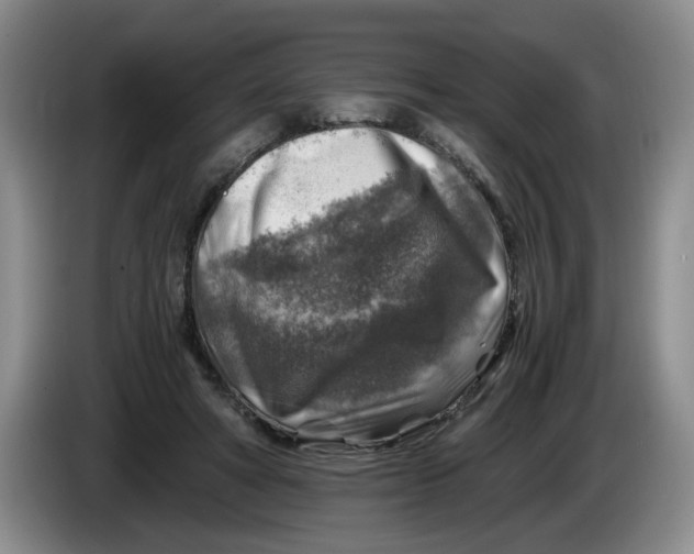 X0000084030402200703092014