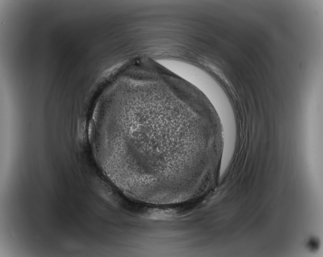 X0000084030403200703092014