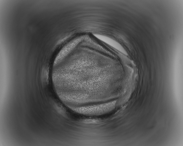 X0000084030404200703092014