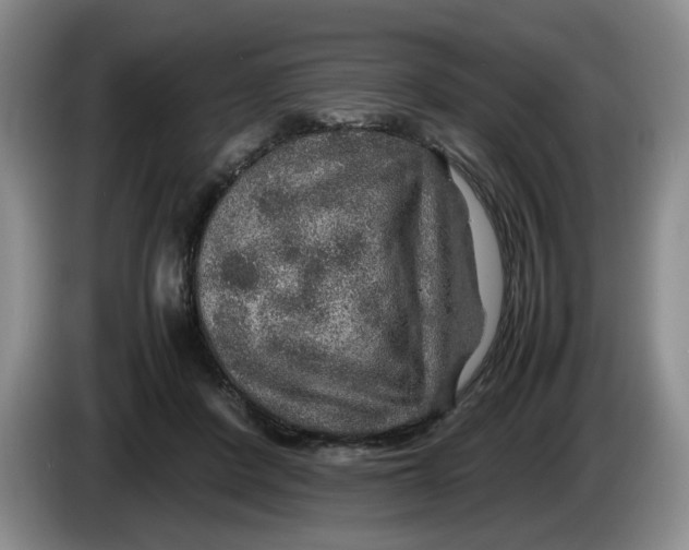 X0000084030408200703092014