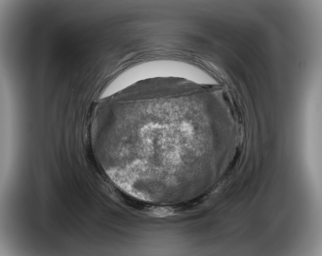 X0000084030409200703092014