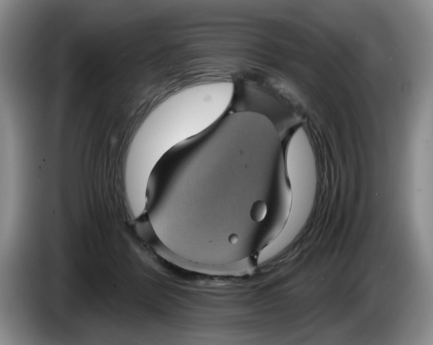 X0000084030412200703092014