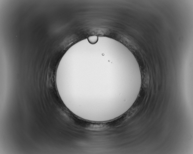 X0000084030414200703092014