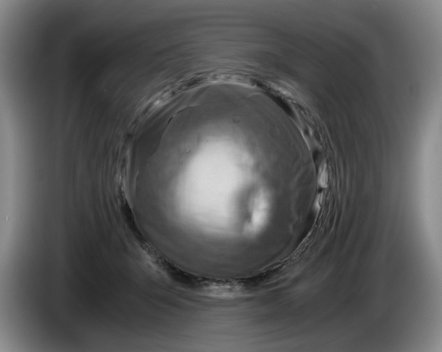 X0000084030415200703092014