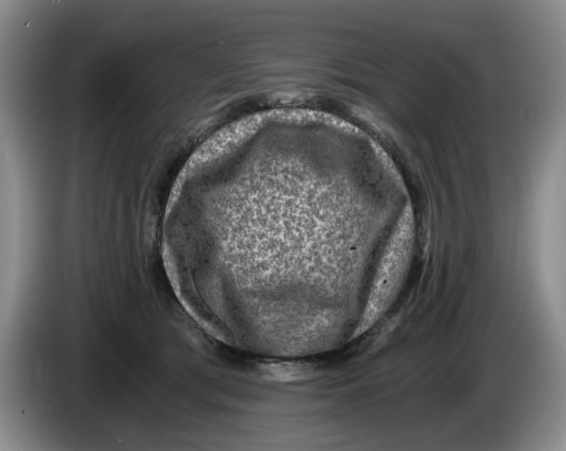 X0000084030417200703092014