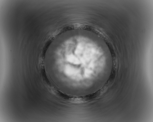 X0000084030419200703092014