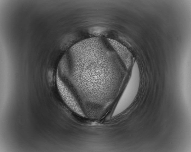 X0000084030420200703092014