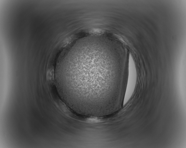 X0000084030425200703092014