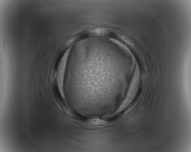 X0000084030429200703092014