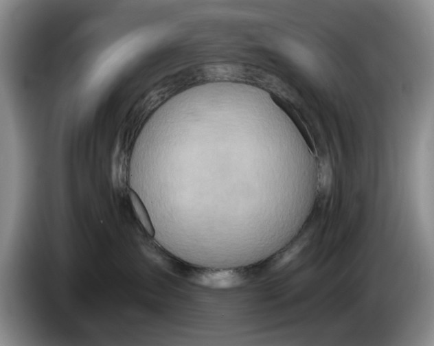 X0000084030431200703092014