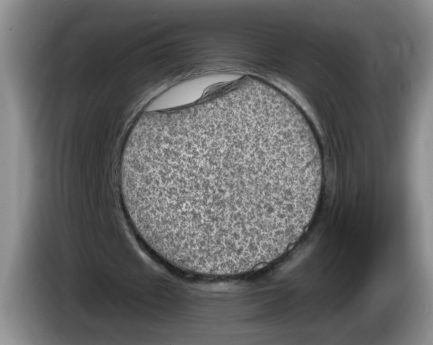 X0000084030433200703092013