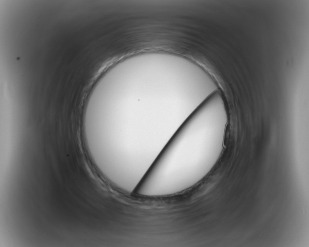 X0000084030434200703092013